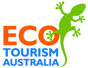 Whitsundays Crocodile Safari